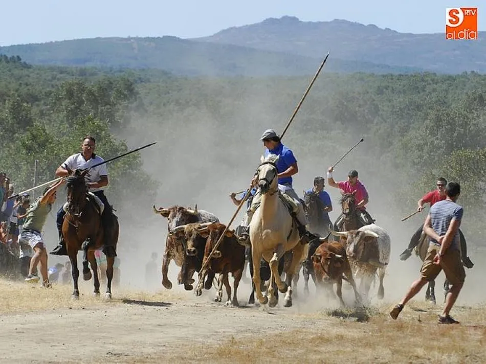 Imagen del encierro a caballo del año pasado | Foto: Javier Antúnez