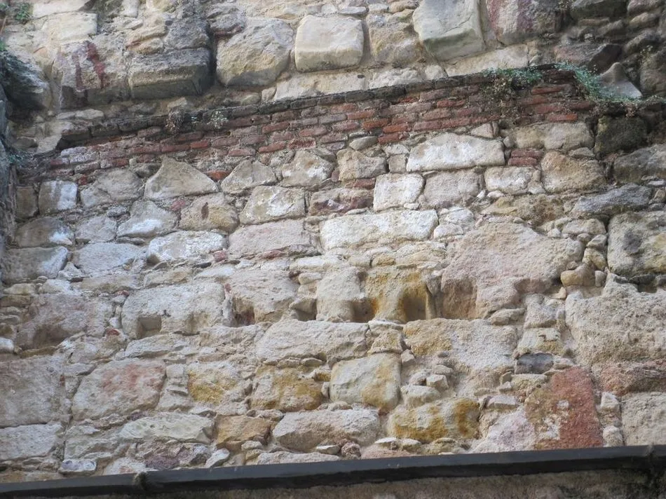 Foto 10 - Ciudadanos por la Defensa del Patrimonio alerta sobre las deficiencias de la Iglesia de Sancti...