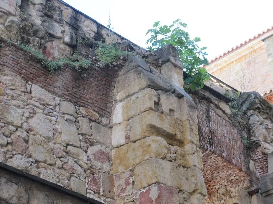 Foto 8 - Ciudadanos por la Defensa del Patrimonio alerta sobre las deficiencias de la Iglesia de Sancti...