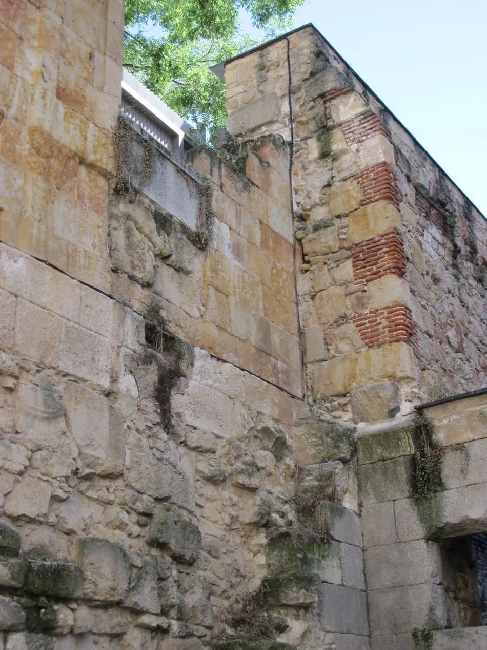 Foto 5 - Ciudadanos por la Defensa del Patrimonio alerta sobre las deficiencias de la Iglesia de Sancti...