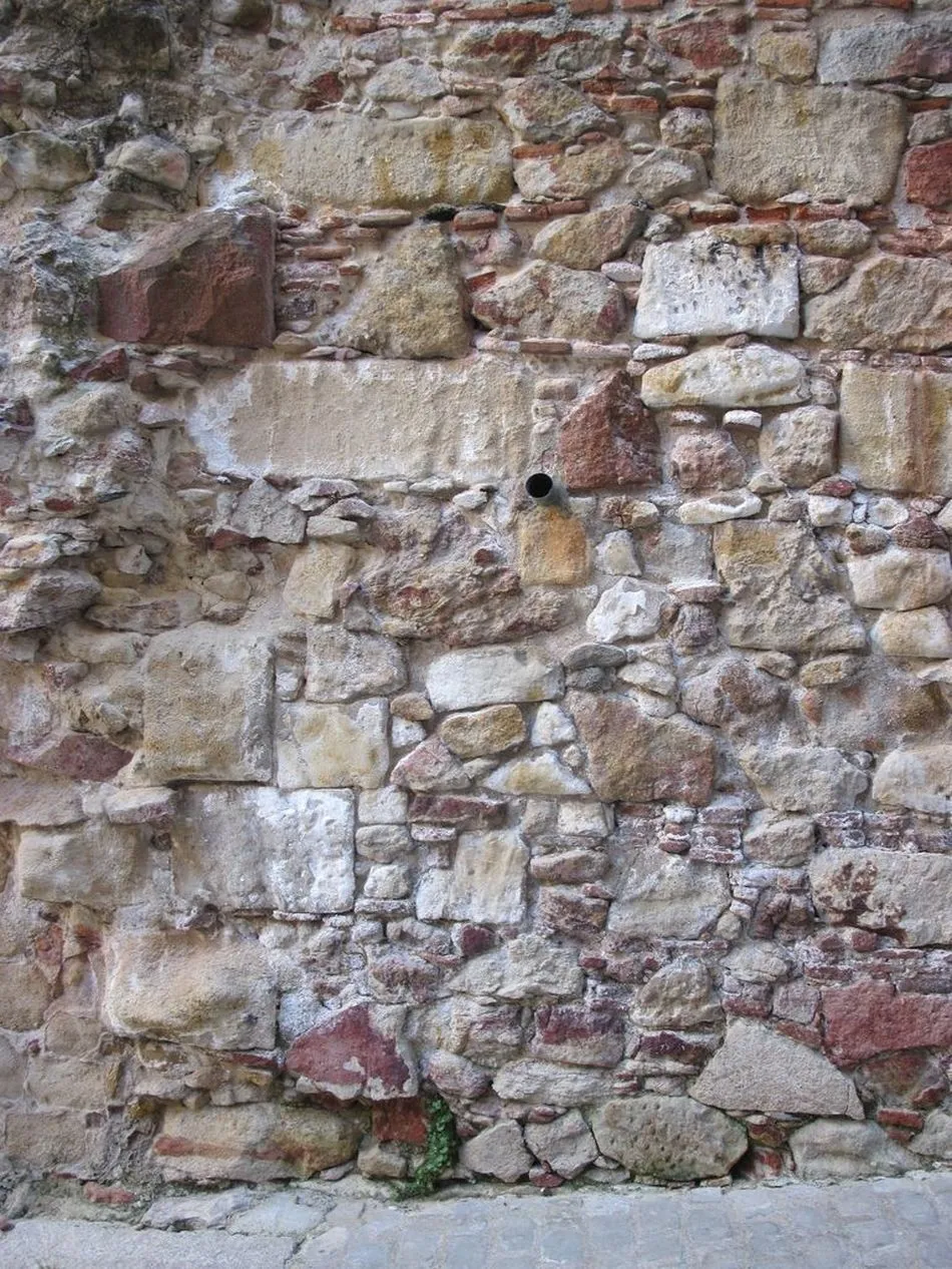 Foto 4 - Ciudadanos por la Defensa del Patrimonio alerta sobre las deficiencias de la Iglesia de Sancti...
