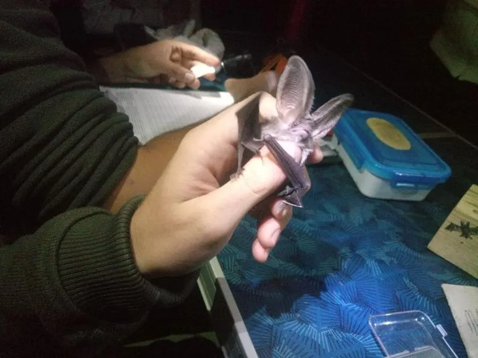 Foto 5 - Numeroso p&uacute;blico asiste al taller de biolog&iacute;a nocturna