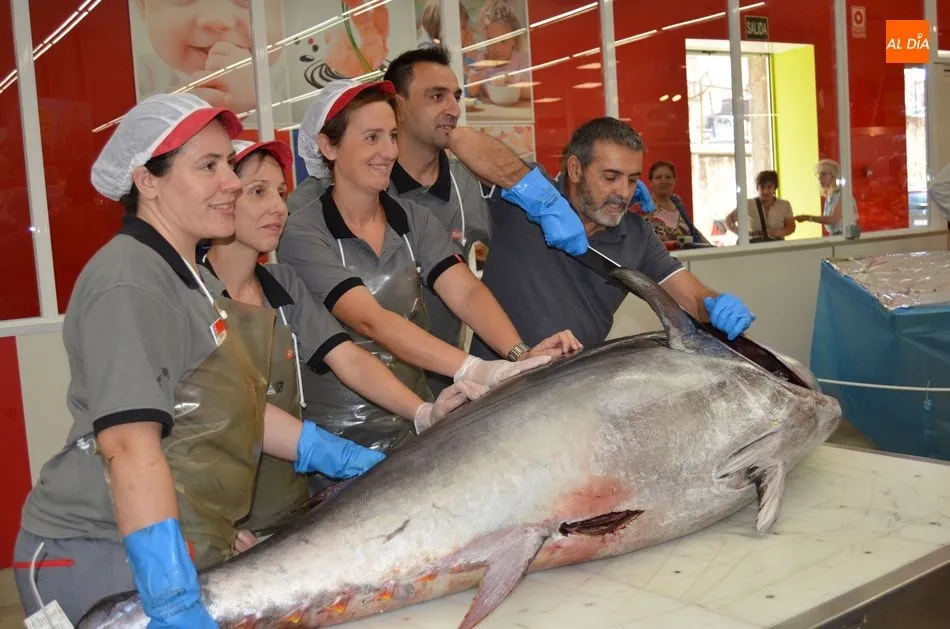 Foto 6 - Los bejaranos contemplan en directo el ronqueo de un at&uacute;n rojo de 150 kilos  