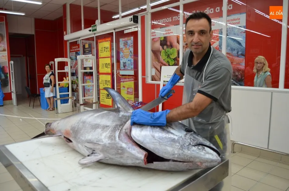 Foto 3 - Los bejaranos contemplan en directo el ronqueo de un at&uacute;n rojo de 150 kilos  