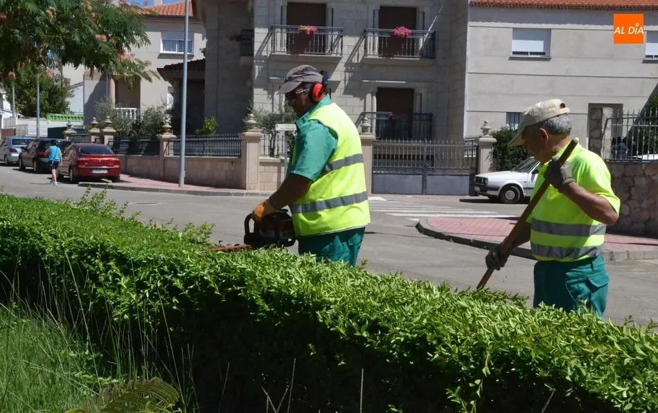 Eh, sácanos una foto: Dejando a punto los setos  