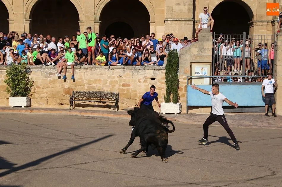 Foto 9 - Quiebros y cortes en el toro de caj&oacute;n