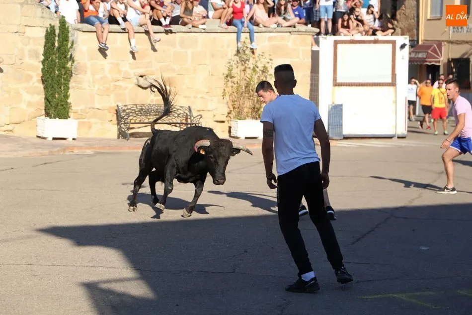 Foto 7 - Quiebros y cortes en el toro de caj&oacute;n