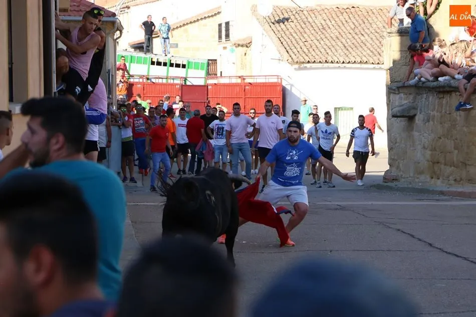Foto 6 - Quiebros y cortes en el toro de caj&oacute;n