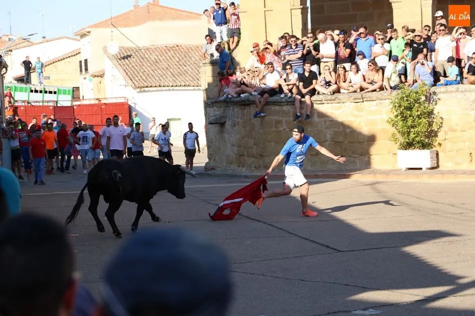Foto 4 - Quiebros y cortes en el toro de caj&oacute;n