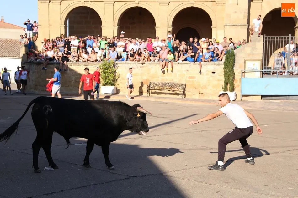 Foto 3 - Quiebros y cortes en el toro de caj&oacute;n