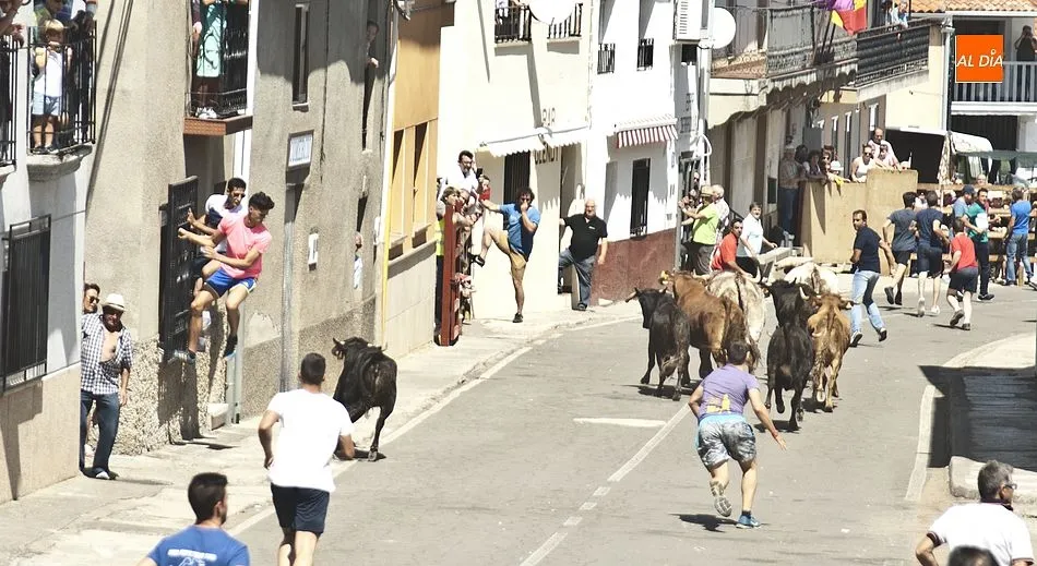 Alguno de los astados se dio la vuelta | Fotos Adrián Martín