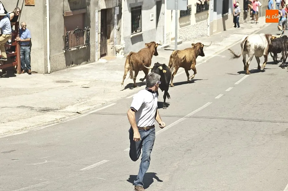 Foto 11 - R&aacute;pido encierro en El Bod&oacute;n con alg&uacute;n susto durante el recorrido  