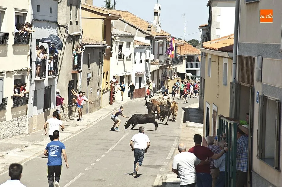 Foto 10 - R&aacute;pido encierro en El Bod&oacute;n con alg&uacute;n susto durante el recorrido  