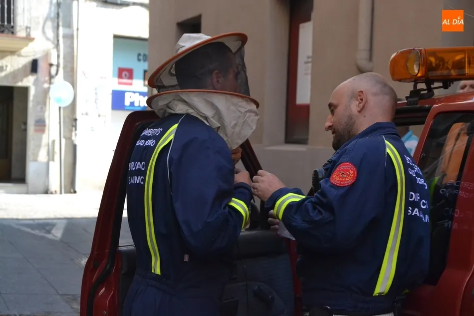 Foto 9 - Los Bomberos act&uacute;an contra un avispero en la calle Gigantes  