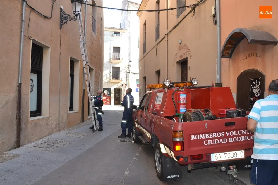 Foto 10 - Los Bomberos act&uacute;an contra un avispero en la calle Gigantes  
