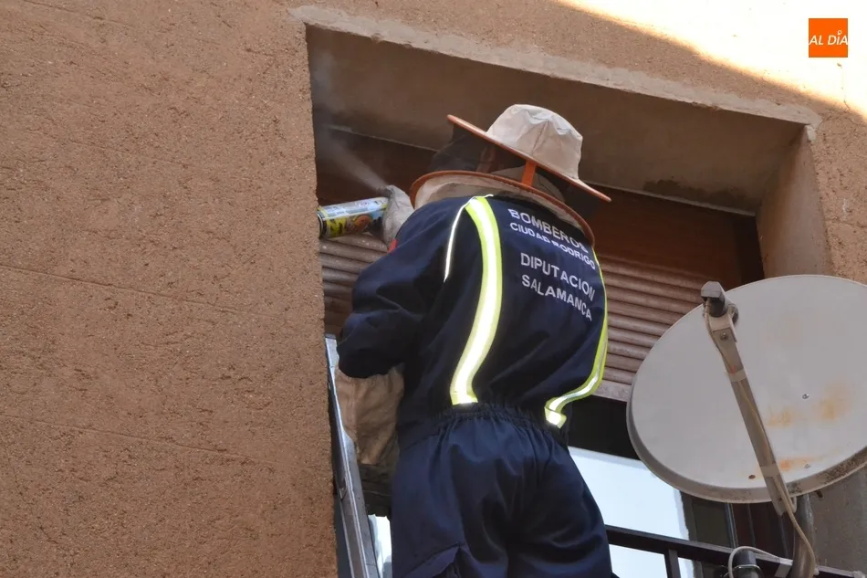 Foto 6 - Los Bomberos act&uacute;an contra un avispero en la calle Gigantes  