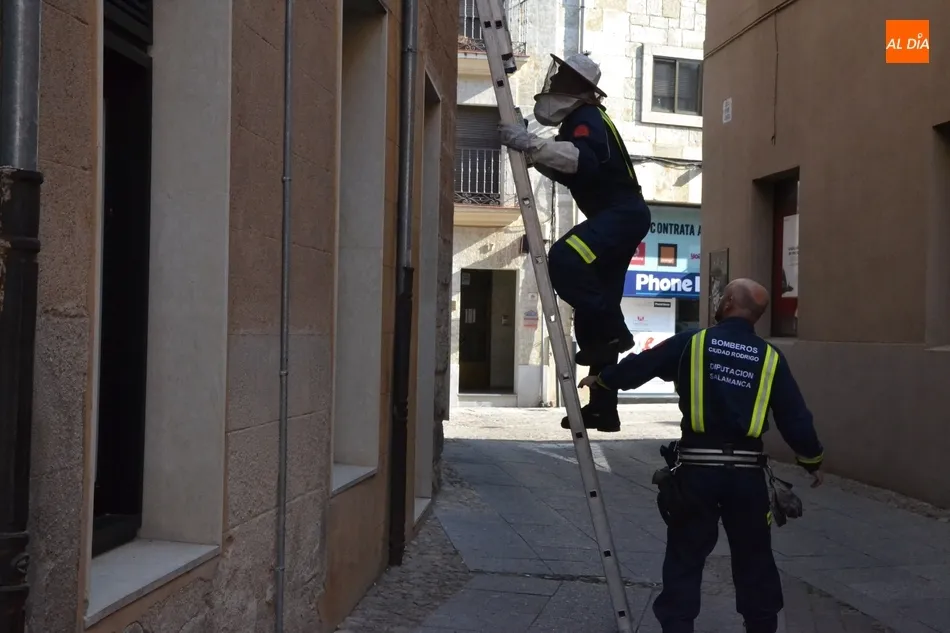Foto 8 - Los Bomberos act&uacute;an contra un avispero en la calle Gigantes  