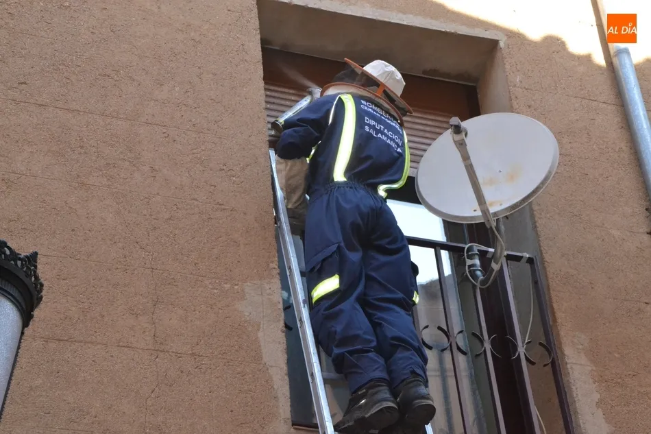 Los Bomberos actúan contra un avispero en la calle Gigantes  