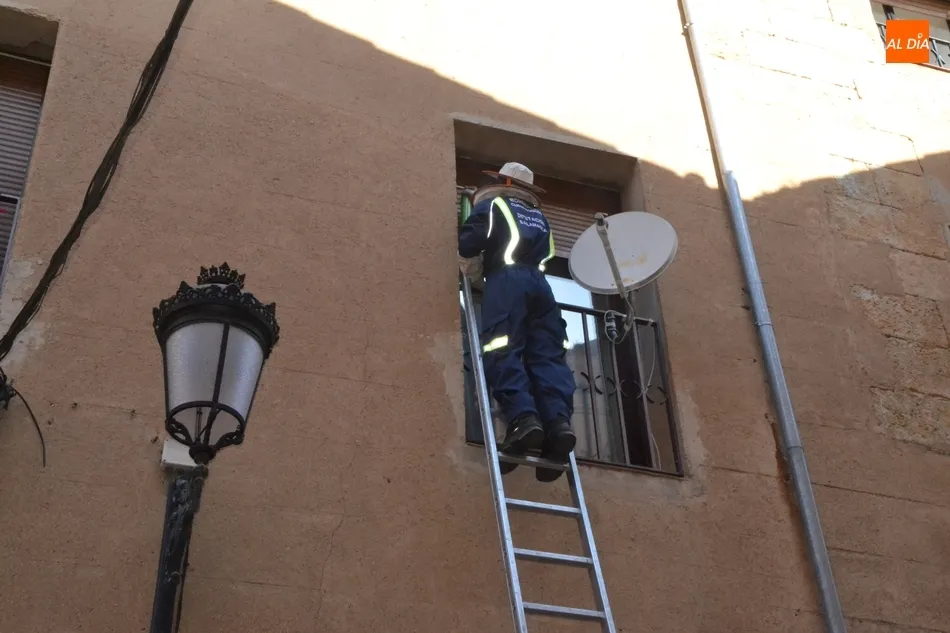 Foto 5 - Los Bomberos act&uacute;an contra un avispero en la calle Gigantes  