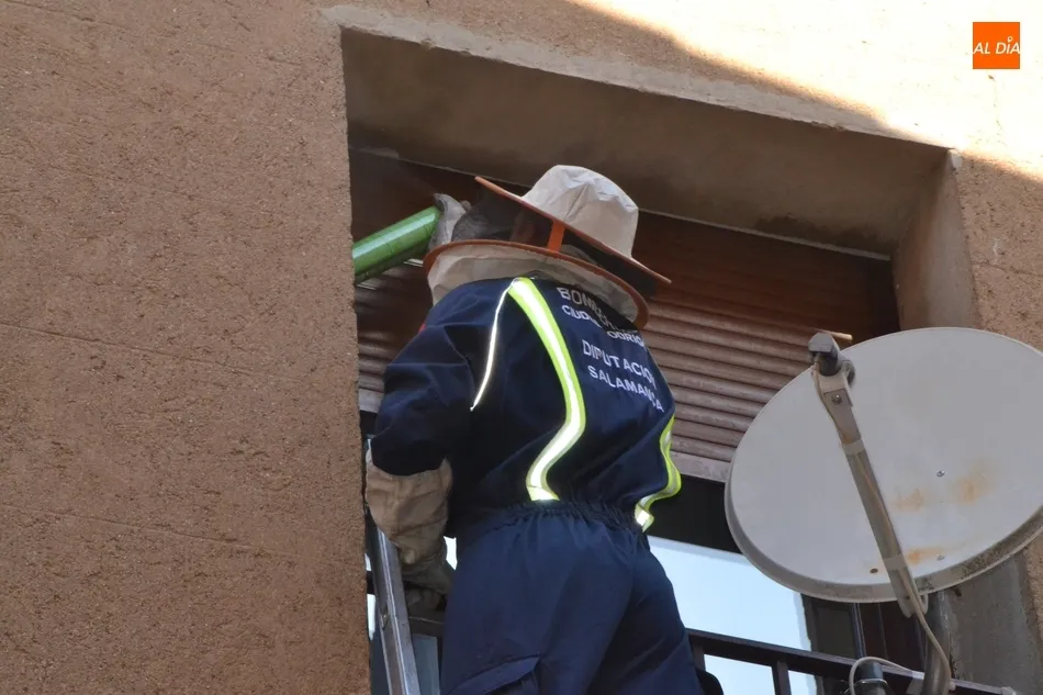 Foto 4 - Los Bomberos act&uacute;an contra un avispero en la calle Gigantes  