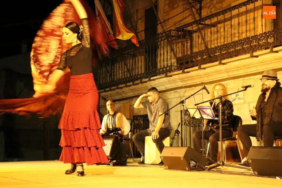 Foto 9 - Excelente actuaci&oacute;n de la Compa&ntilde;&iacute;a Flamenca Cristina Ca&ntilde;izares con su espect&aacute;culo 'Locos por...