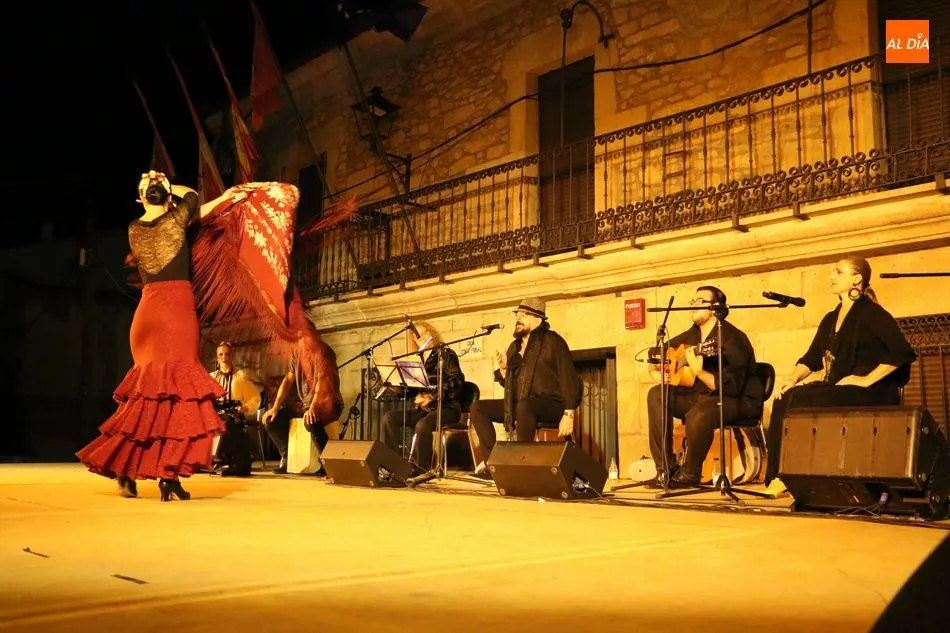 Foto 7 - Excelente actuaci&oacute;n de la Compa&ntilde;&iacute;a Flamenca Cristina Ca&ntilde;izares con su espect&aacute;culo 'Locos por...
