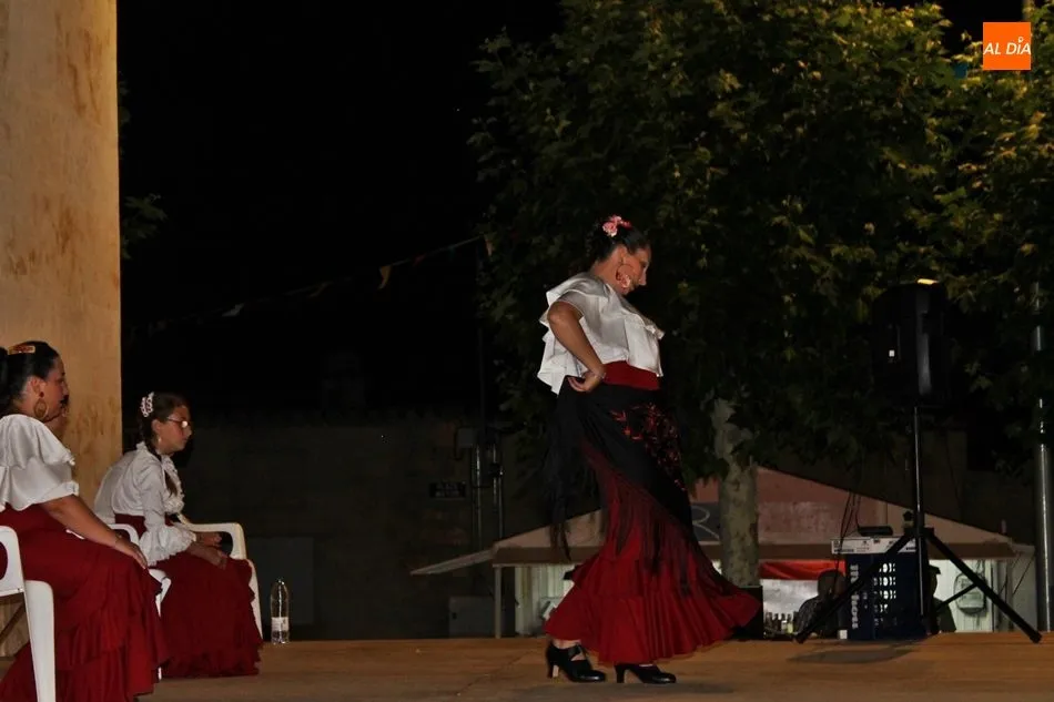 Foto 2 - Aires flamencos al comp&aacute;s de Volantes en el Albero