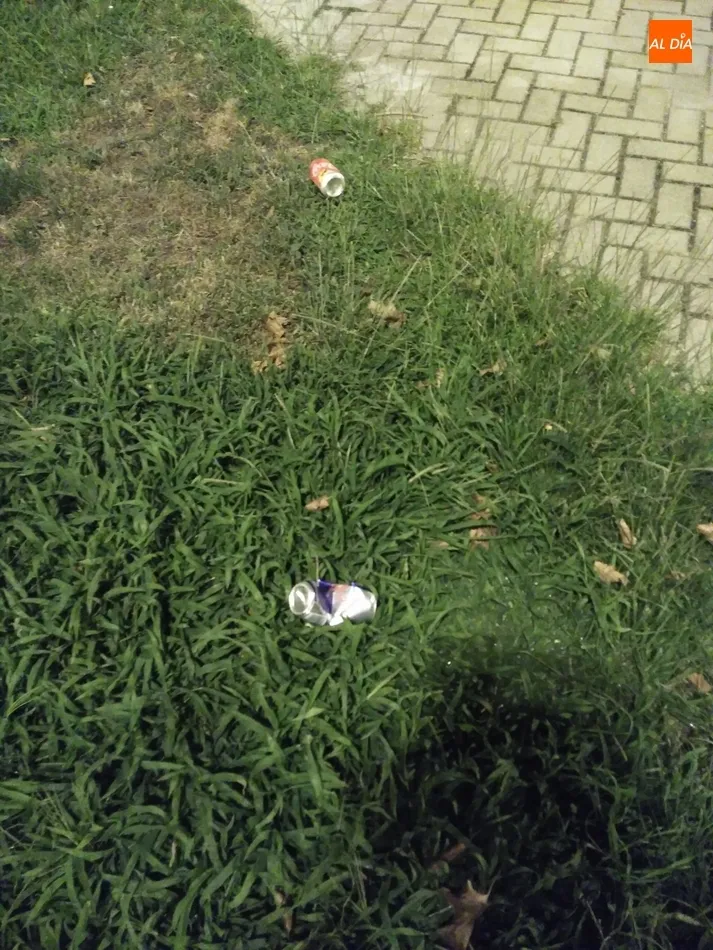 Foto 8 - Quejas en el Zurgu&eacute;n por la acumulaci&oacute;n de basura en espacios p&uacute;blicos  
