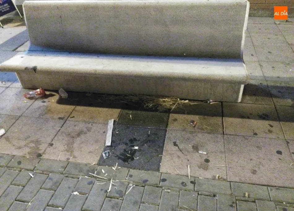 Foto 7 - Quejas en el Zurgu&eacute;n por la acumulaci&oacute;n de basura en espacios p&uacute;blicos  