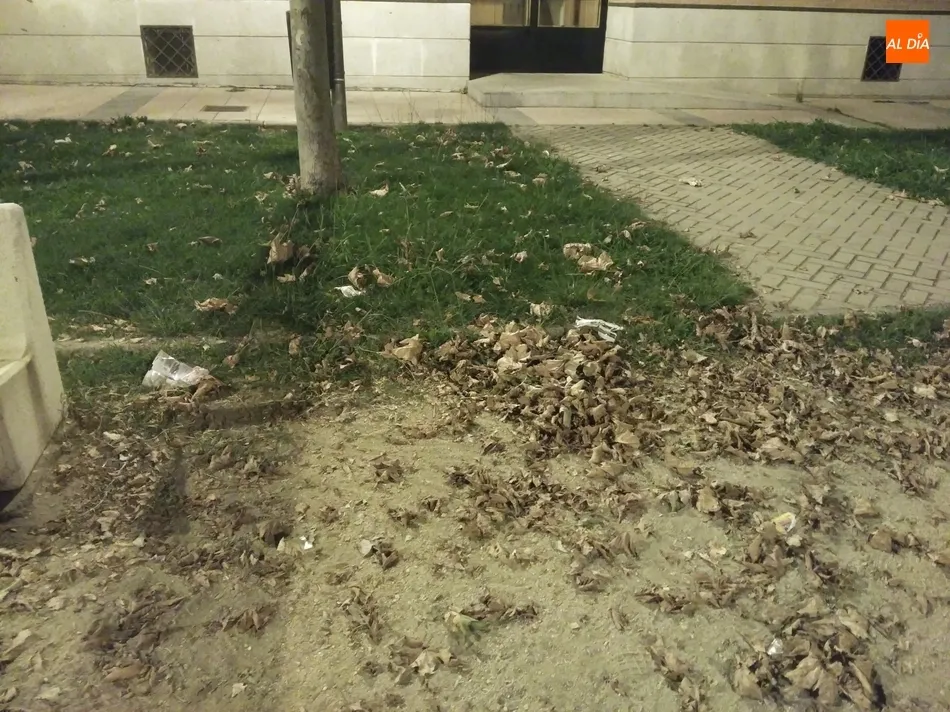 Foto 2 - Quejas en el Zurgu&eacute;n por la acumulaci&oacute;n de basura en espacios p&uacute;blicos  