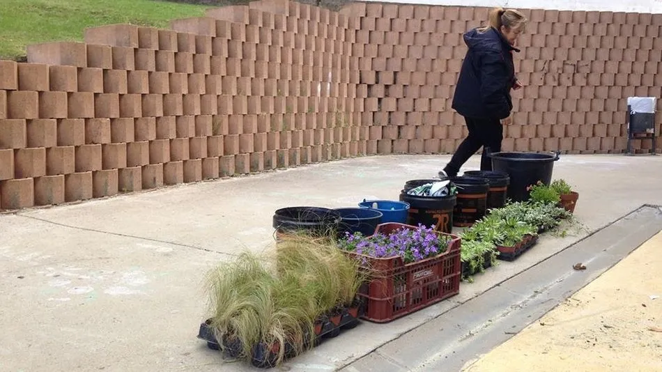 Foto 2 - La Biblioteca P&uacute;blica de Villamayor busca esquejes para sembrar en la entrada del recinto