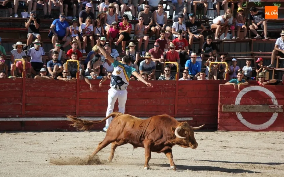 Foto 2 - Villarino comienza sus espectaculos taurinos con un festejo de recortes y el II Toro de Caj&oacute;n de...