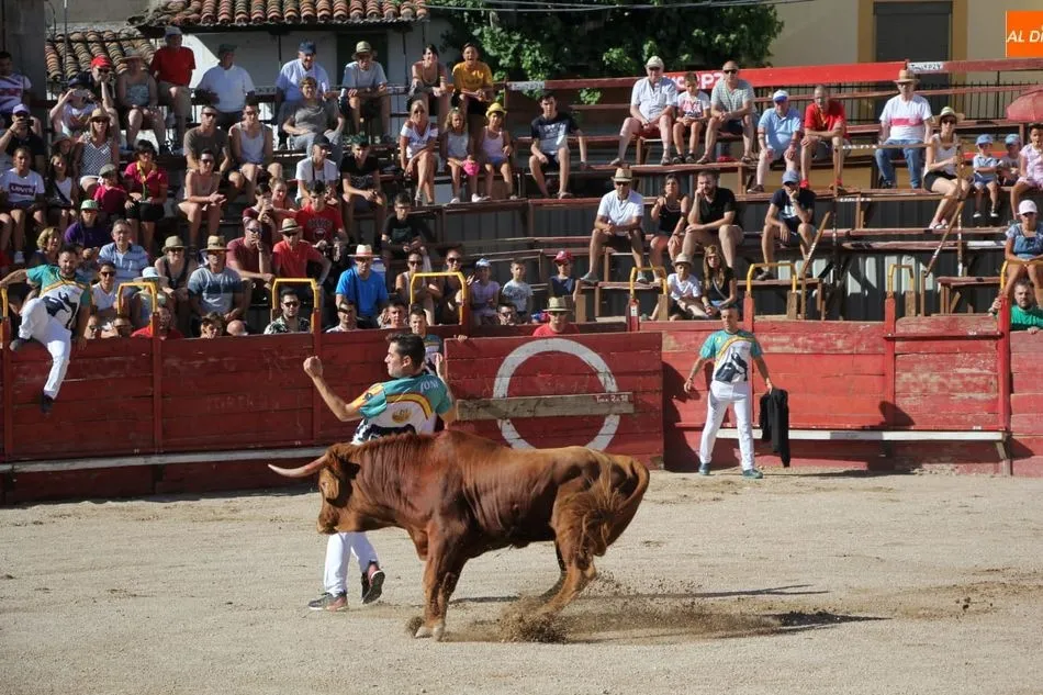 Foto 3 - Villarino comienza sus espectaculos taurinos con un festejo de recortes y el II Toro de Caj&oacute;n de...