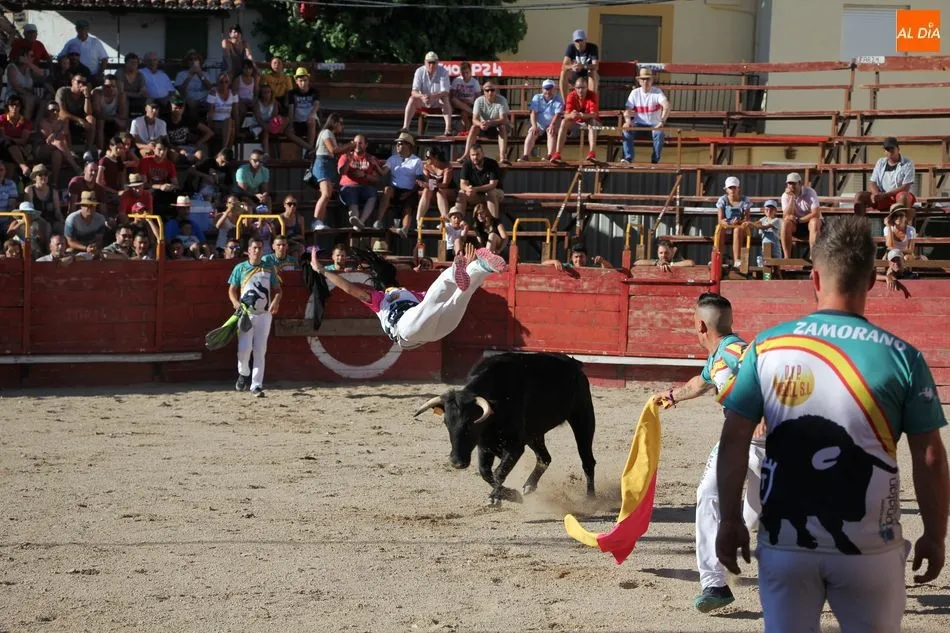 Foto 10 - Villarino comienza sus espectaculos taurinos con un festejo de recortes y el II Toro de Caj&oacute;n de...