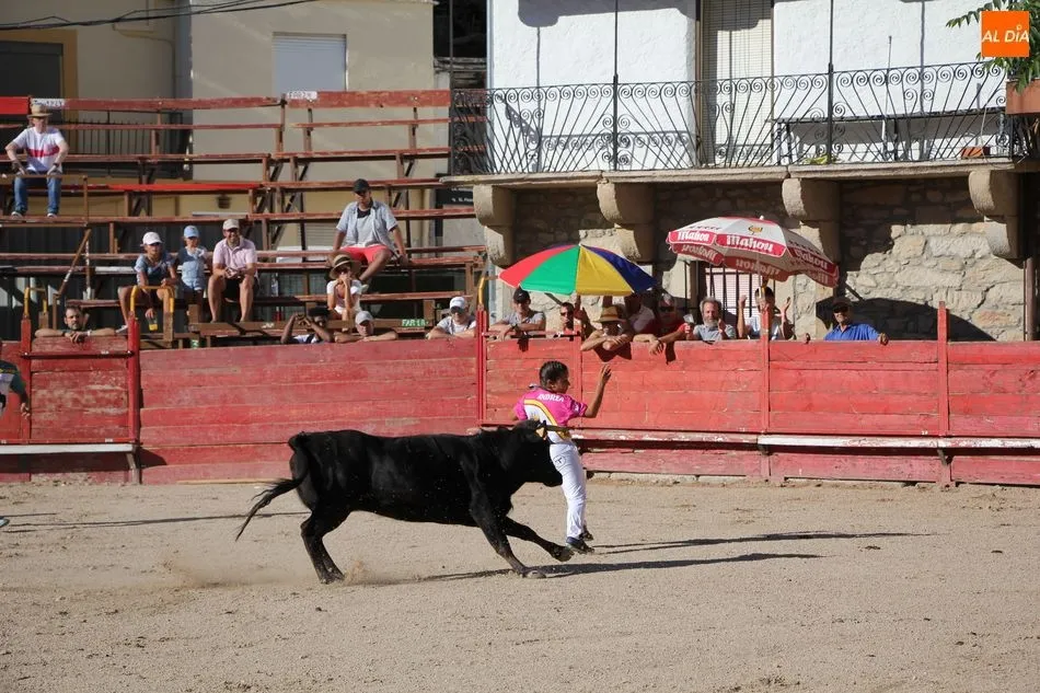 Foto 9 - Villarino comienza sus espectaculos taurinos con un festejo de recortes y el II Toro de Caj&oacute;n de...