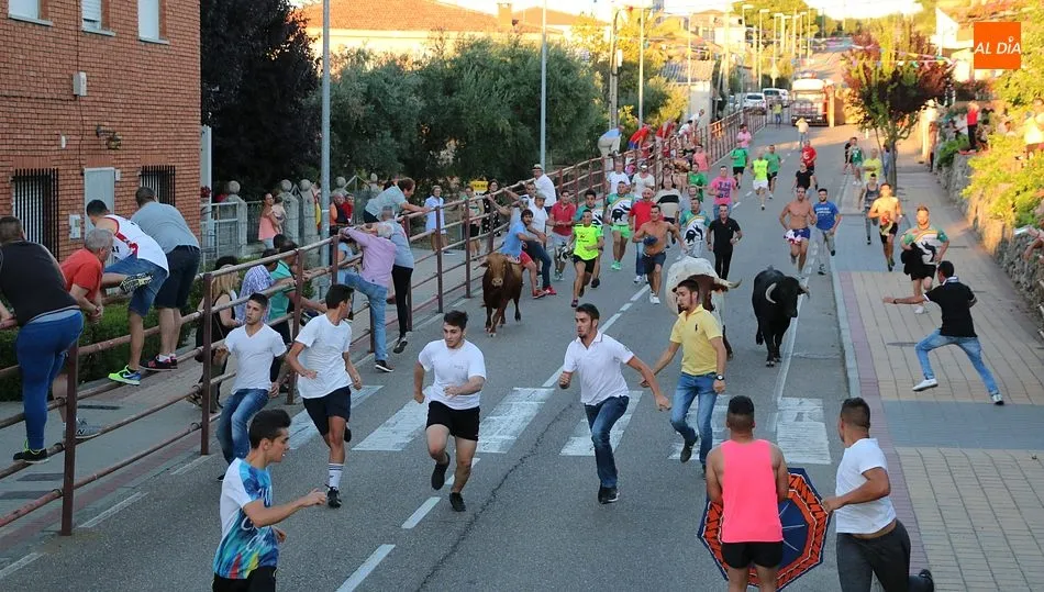 La carrera con los dos novillos y el manso fue más lucida / CORRAL