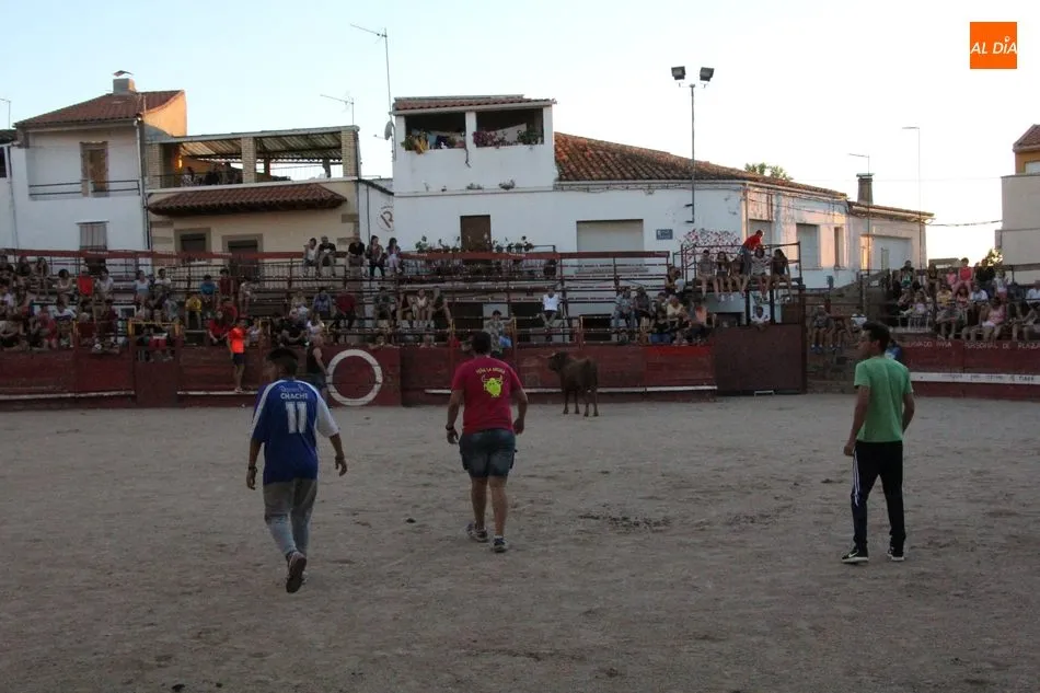 Foto 10 - El II Toro de Caj&oacute;n de Las Arribes cumple las expectativas en Villarino  