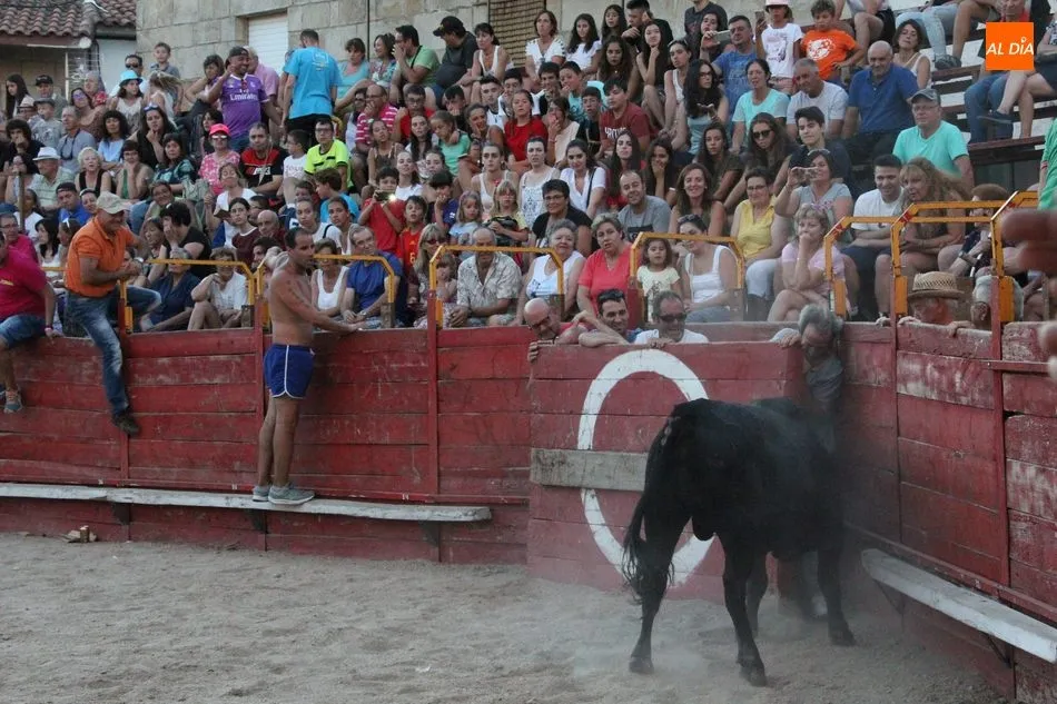 Foto 6 - El II Toro de Caj&oacute;n de Las Arribes cumple las expectativas en Villarino  