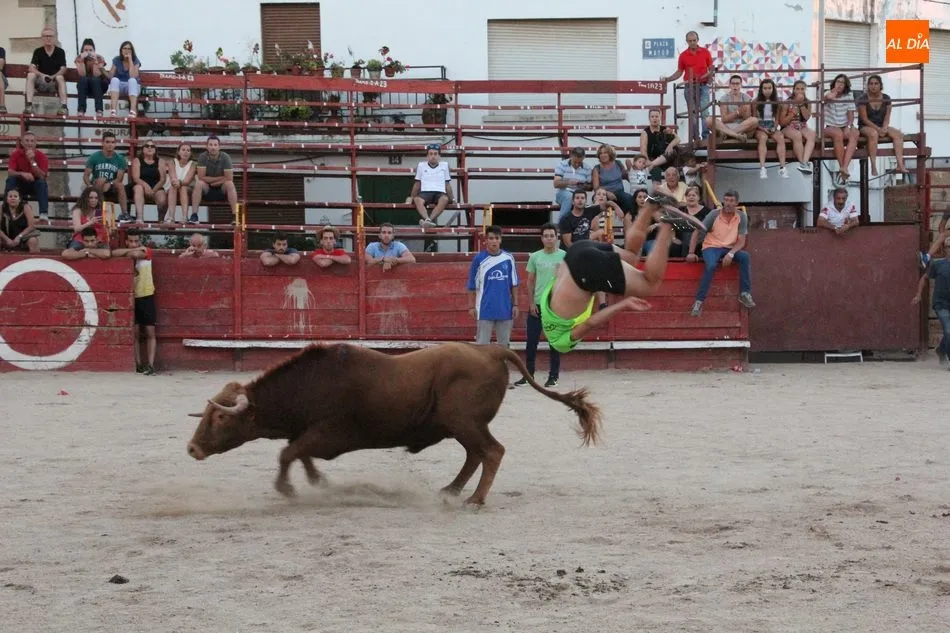 Foto 5 - El II Toro de Caj&oacute;n de Las Arribes cumple las expectativas en Villarino  