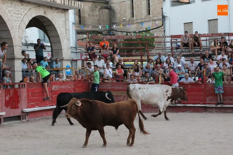 Foto 4 - El II Toro de Caj&oacute;n de Las Arribes cumple las expectativas en Villarino  