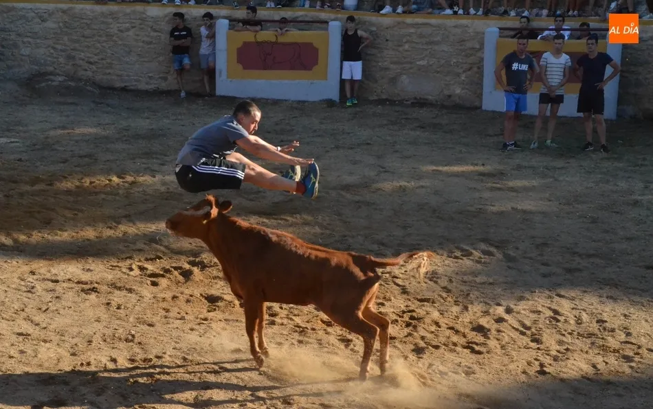 Animada capea con buen juego de las vacas en la remozada plaza de Casillas de Flores  