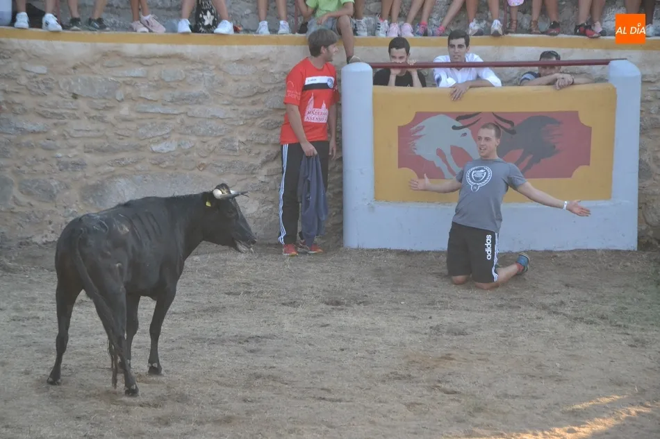 Foto 8 - Animada capea con buen juego de las vacas en la remozada plaza de Casillas de Flores  
