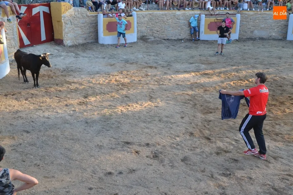 Foto 7 - Animada capea con buen juego de las vacas en la remozada plaza de Casillas de Flores  