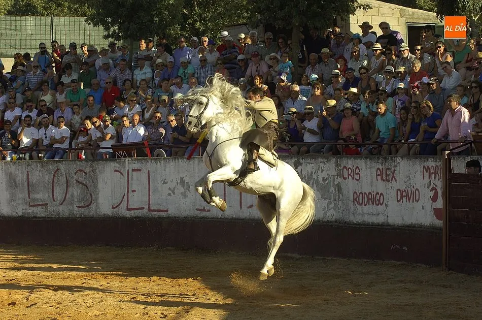 Foto 7 - La plaza de Robleda, a reventar para presenciar el espect&aacute;culo de rejones de sus fiestas  