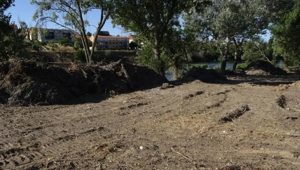 Foto 2 - Denuncian da&ntilde;os medioambientales en las m&aacute;rgenes del r&iacute;o en Tejares y Chamber&iacute;