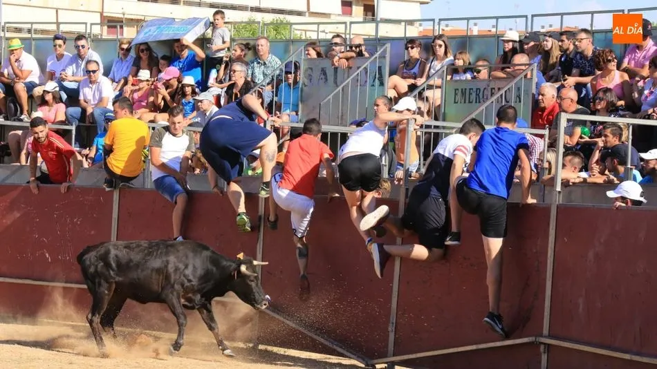 Las vaquillas han puesto en apuros a los más valientes. Foto: Alberto Martín