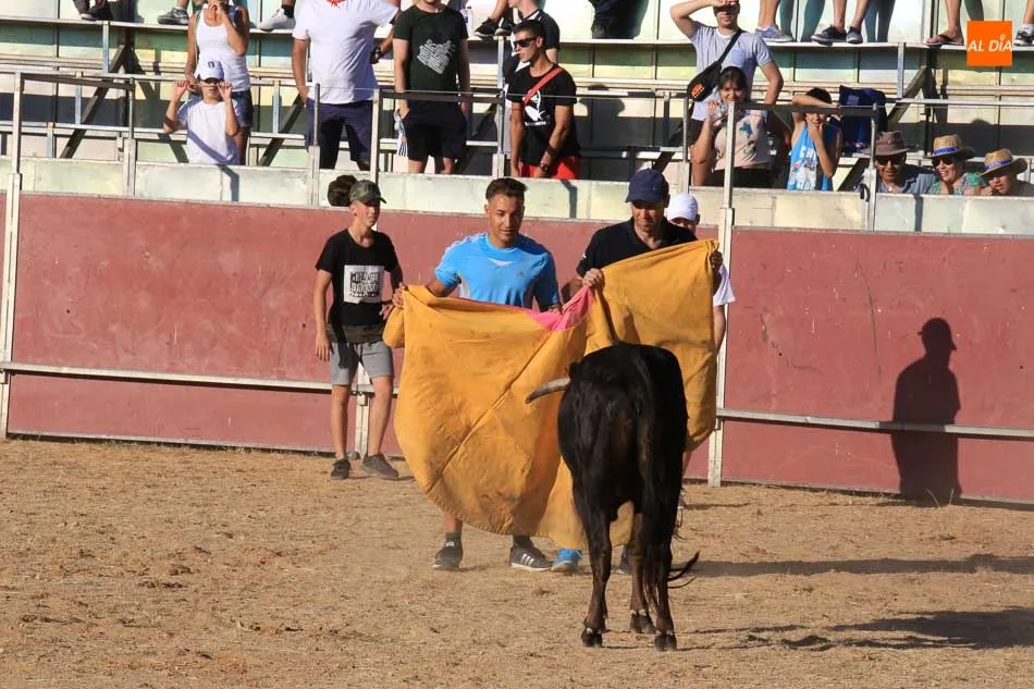 Foto 10 - Emocionante y animada suelta de vaquillas en Carbajosa de la Sagrada