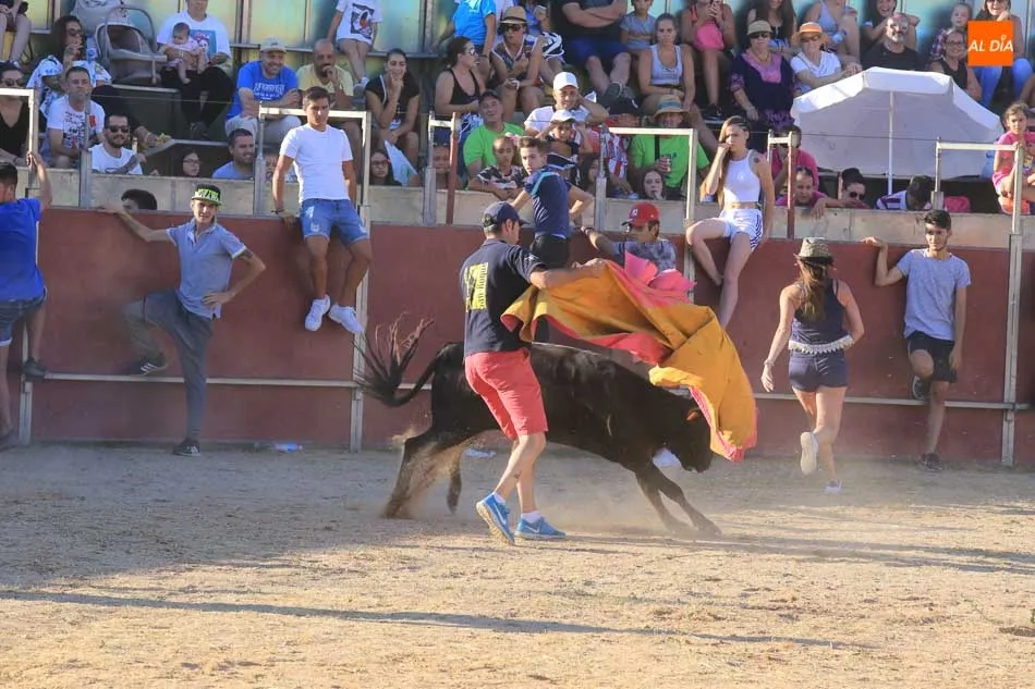 Foto 9 - Emocionante y animada suelta de vaquillas en Carbajosa de la Sagrada