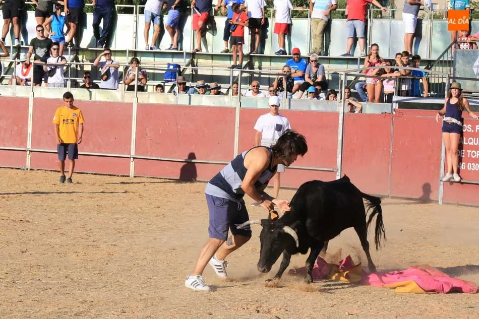 Foto 8 - Emocionante y animada suelta de vaquillas en Carbajosa de la Sagrada
