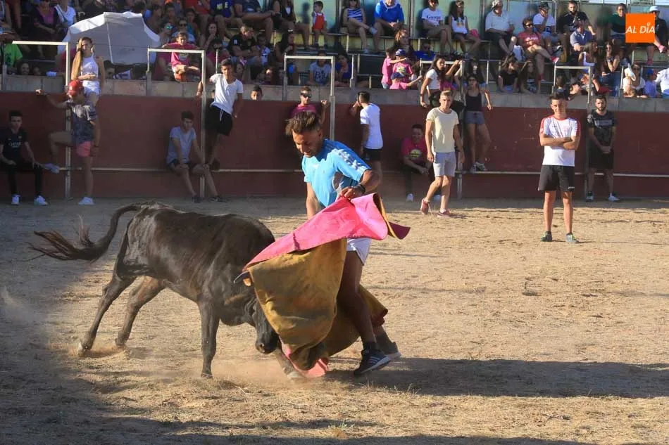Foto 7 - Emocionante y animada suelta de vaquillas en Carbajosa de la Sagrada
